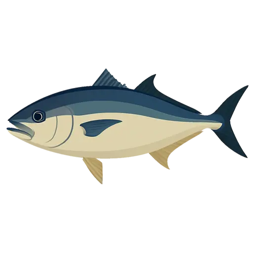 amberjack